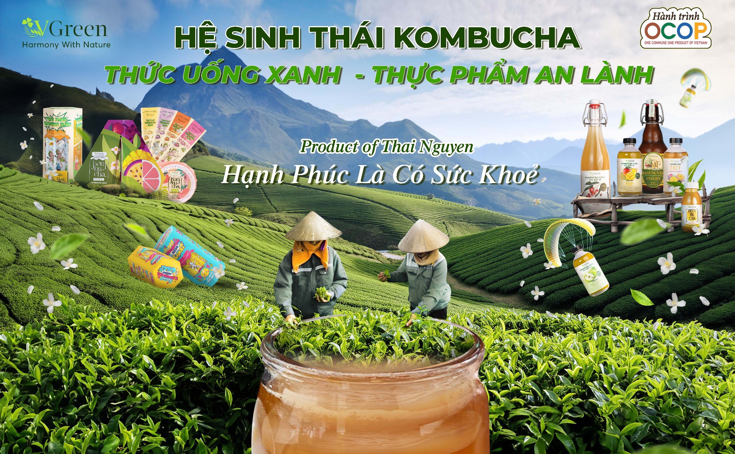 Hệ sinh thái Kombucha đến từ Vgreen