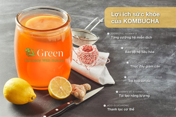 kombucha lemon có tác dụng gì