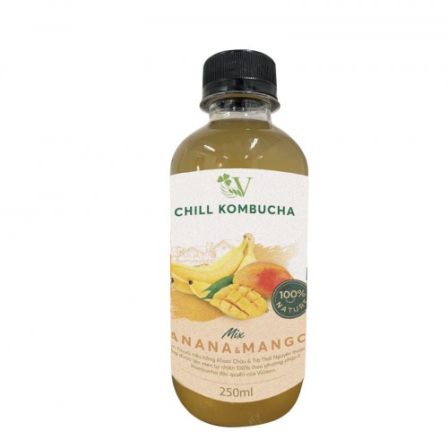 Chill Kombucha Banana Mix Mango - 250ml