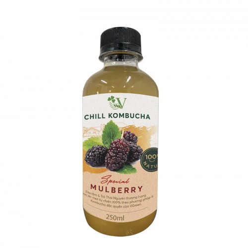 Chill Kombucha Mulberry - 250ml