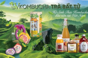 Trà Kombucha - Trà Bất Tử | Lợi ích đặc biệt với sức khỏe