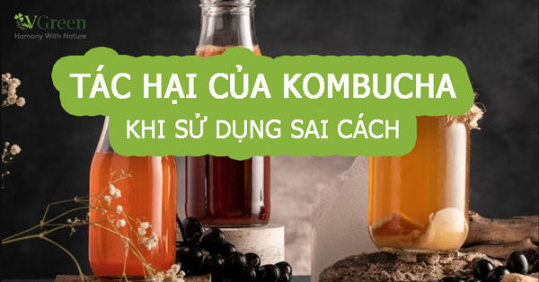 Tác hại của kombucha